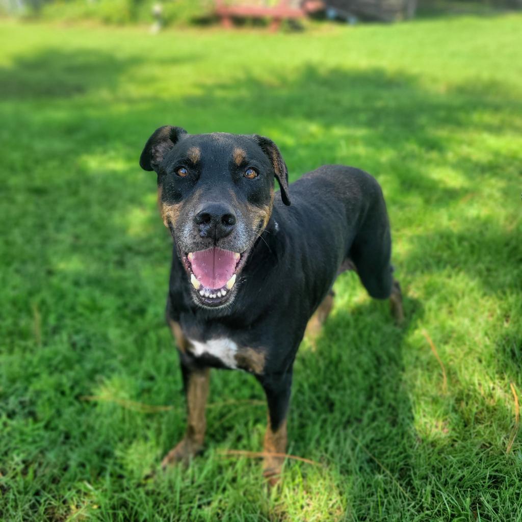 Zeus