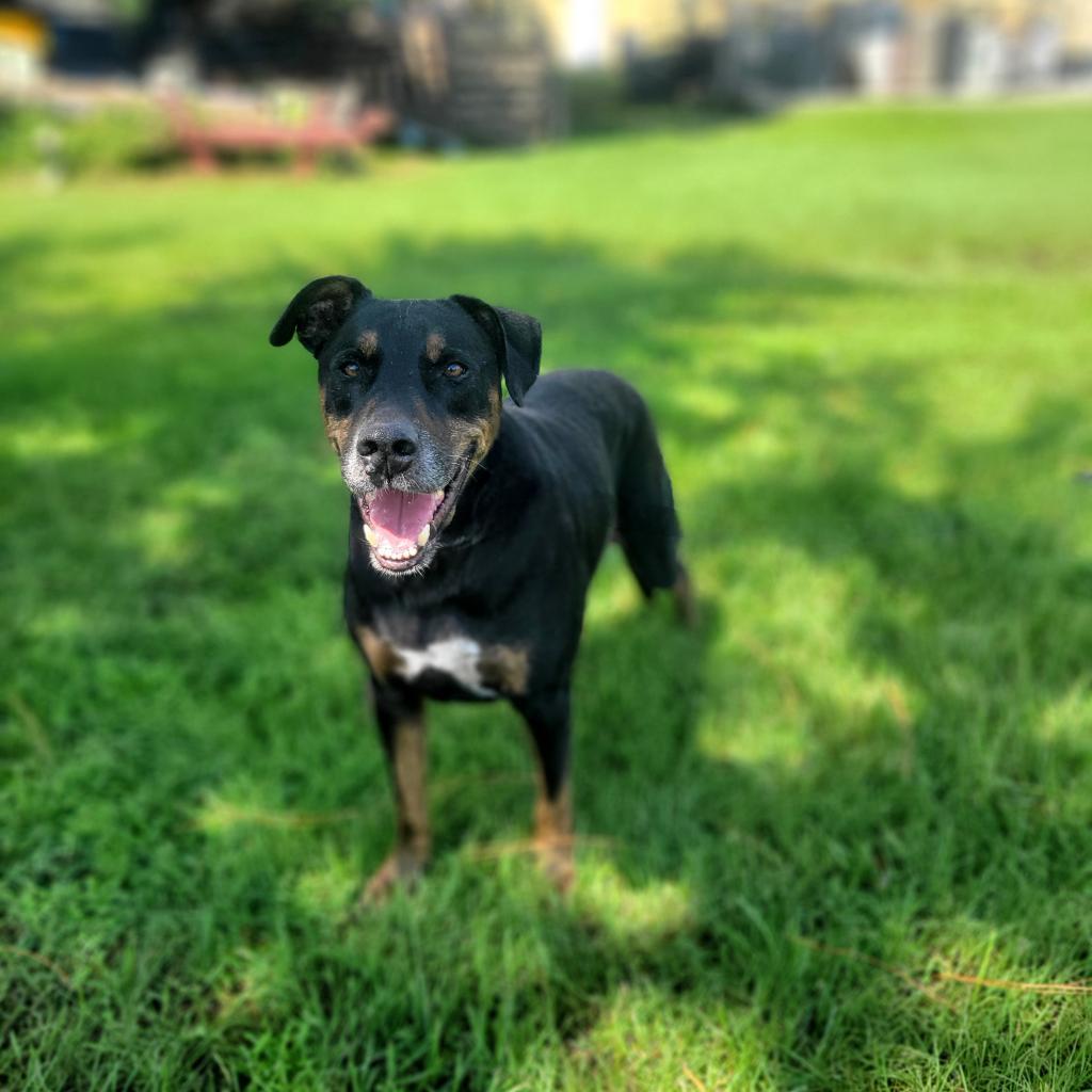 Zeus