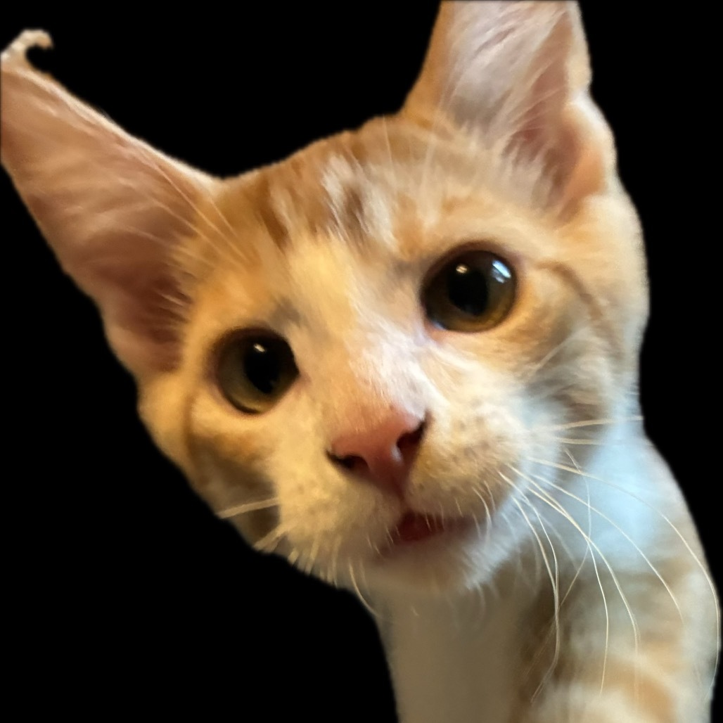 Ginger