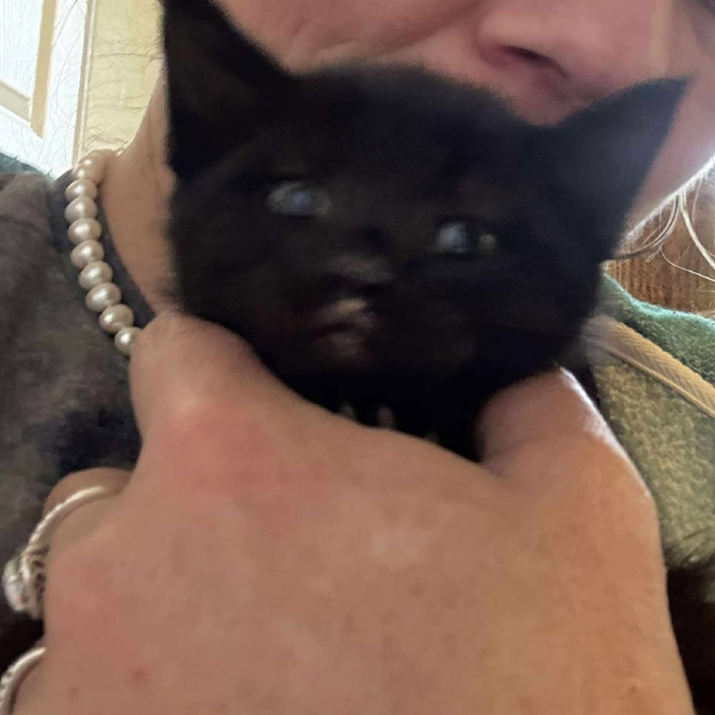 Binx