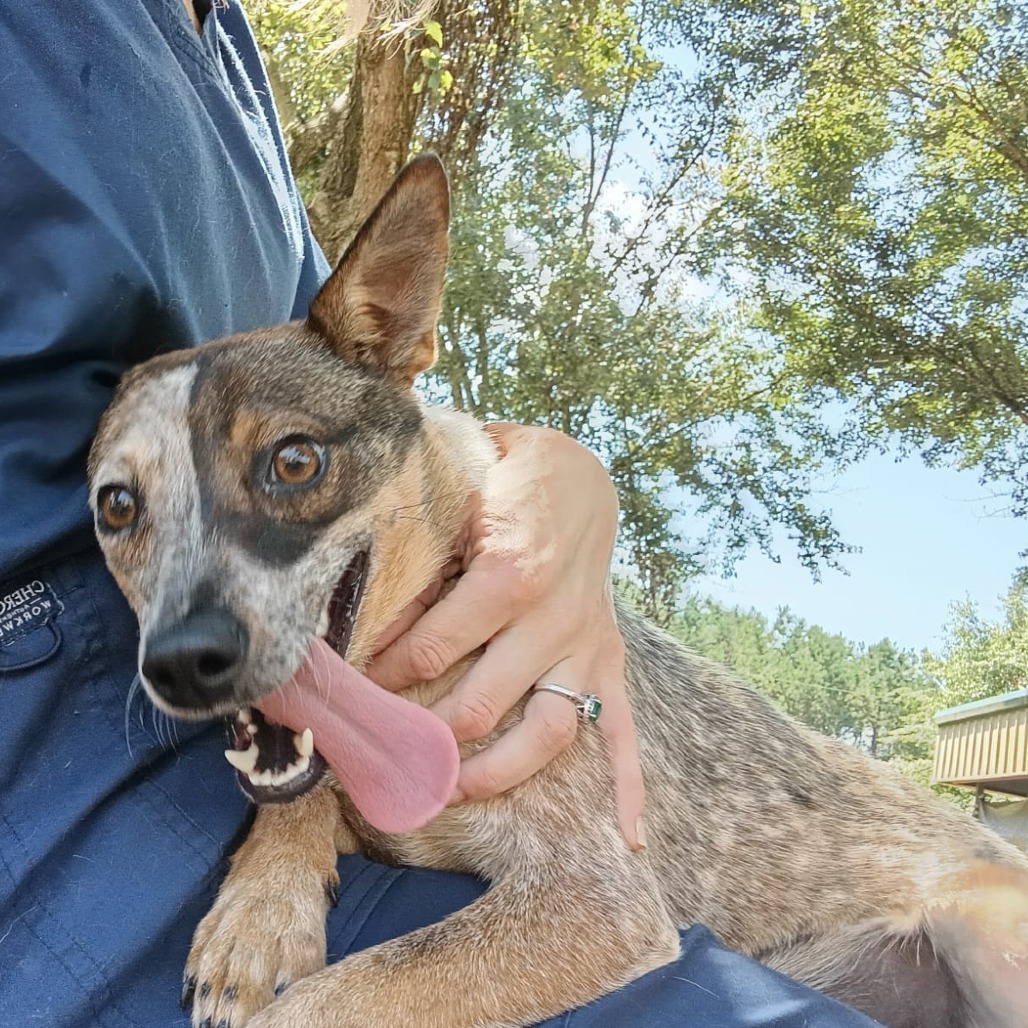 Marti
