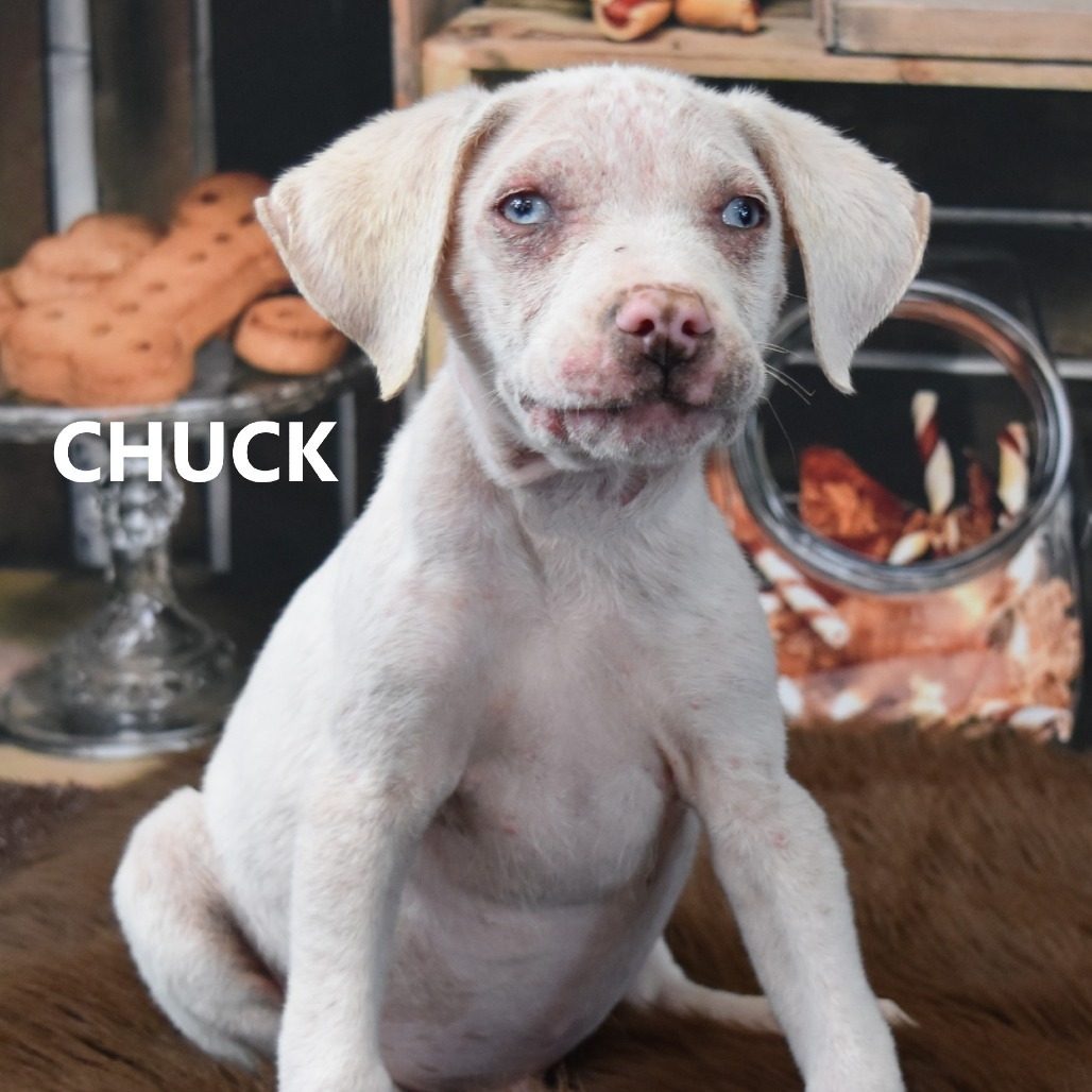 Chuck