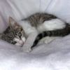 Arwen photo 2