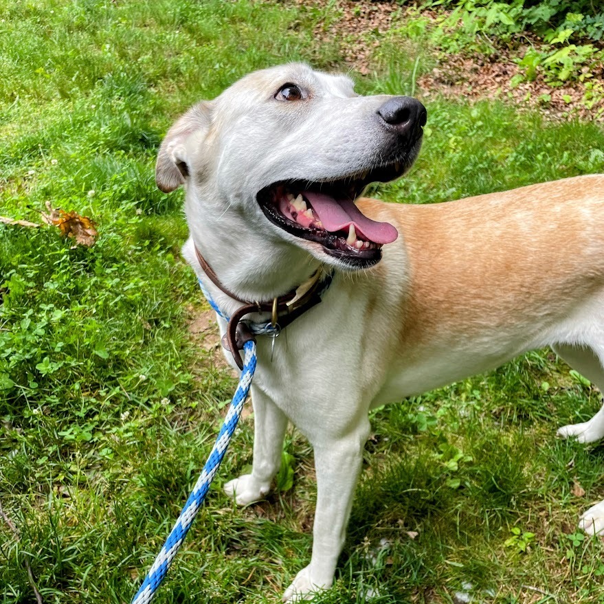 Princess, "Greta"