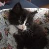 Blackbeard photo 2