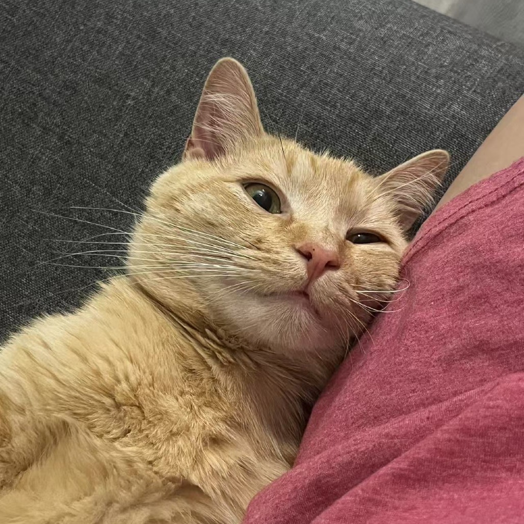 Mac
