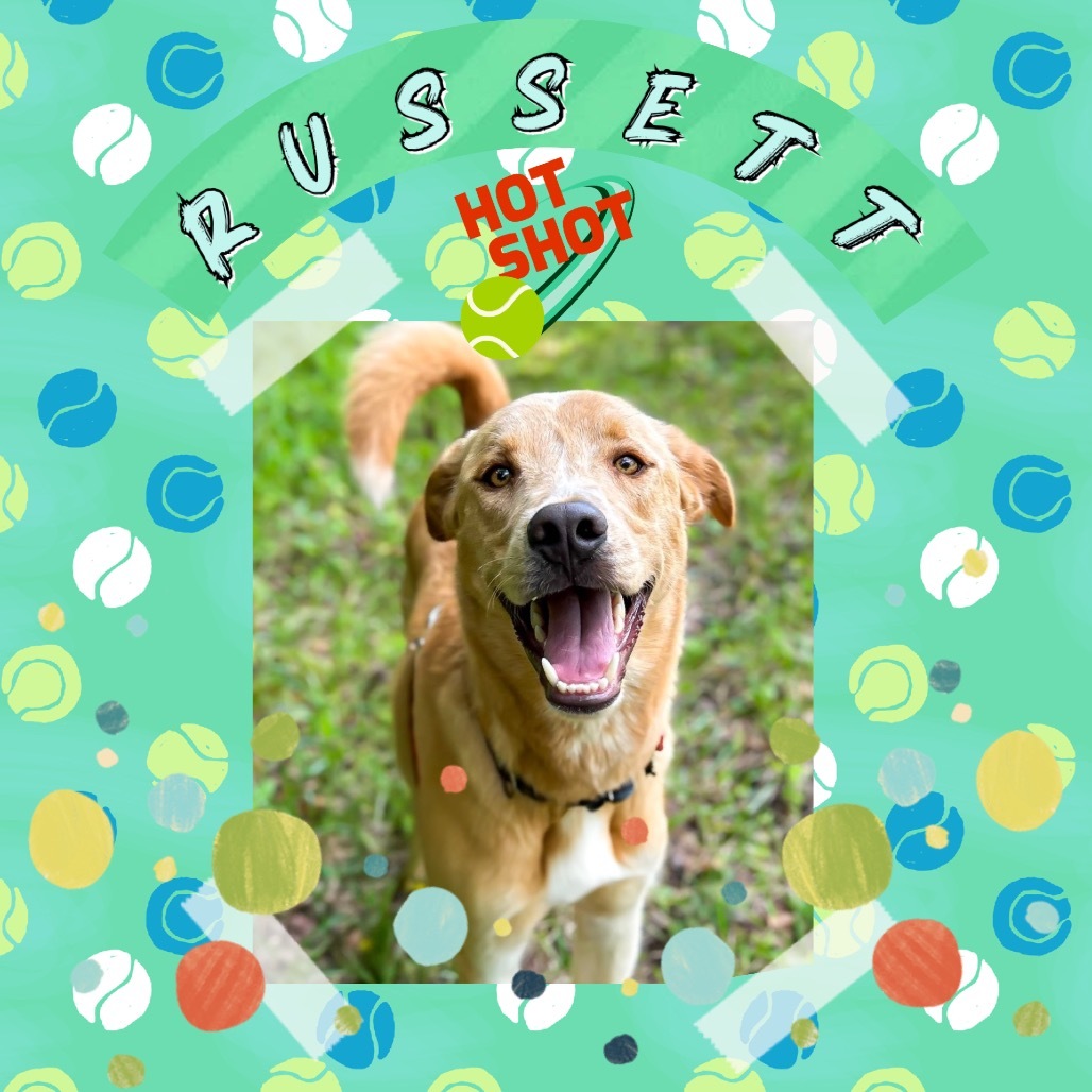 Russett