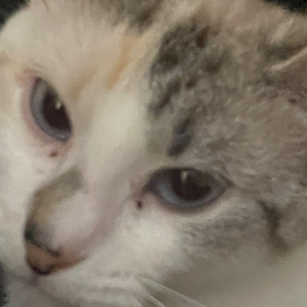 Marie