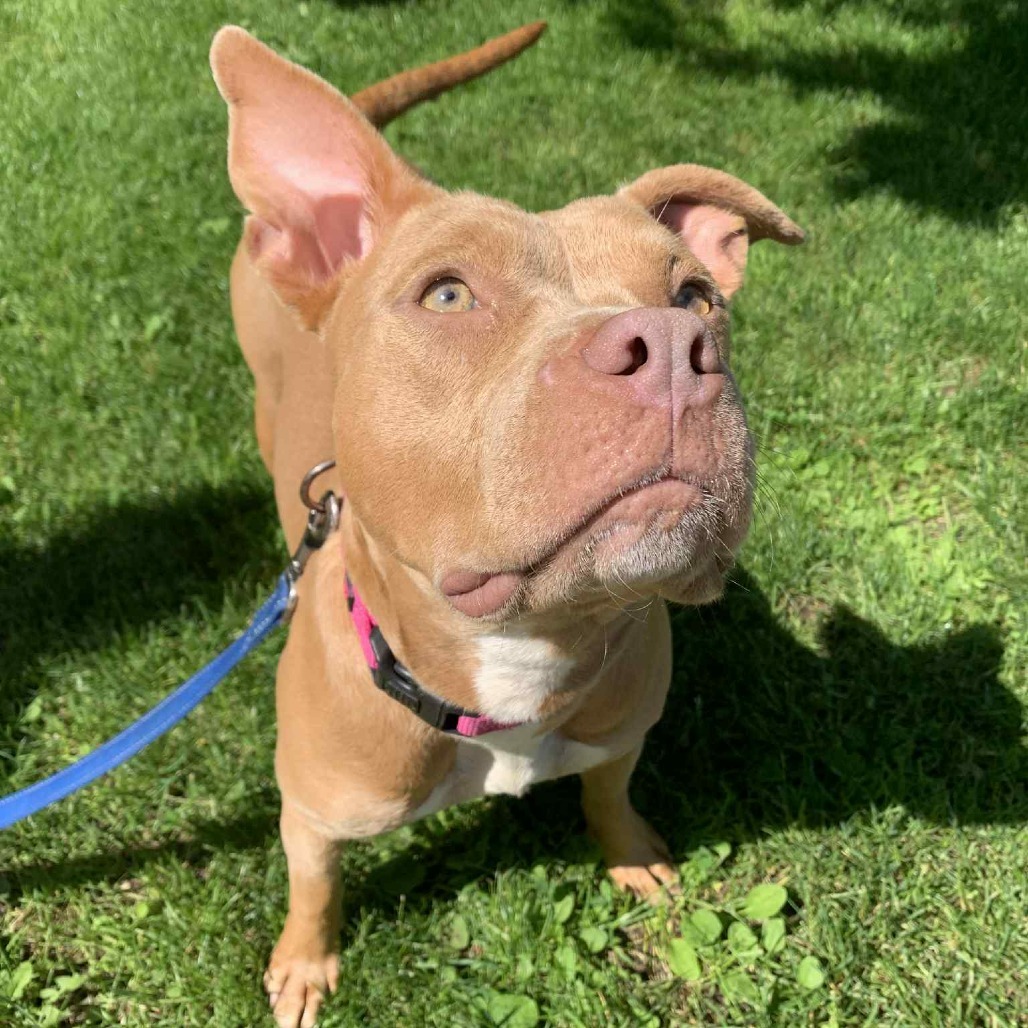 Sunny