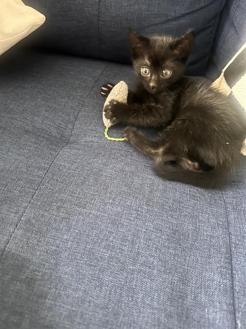 JERRY
