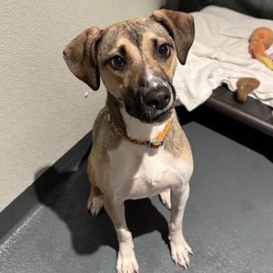June is currently in foster care and ready for adoption To begin the process please submit an adop