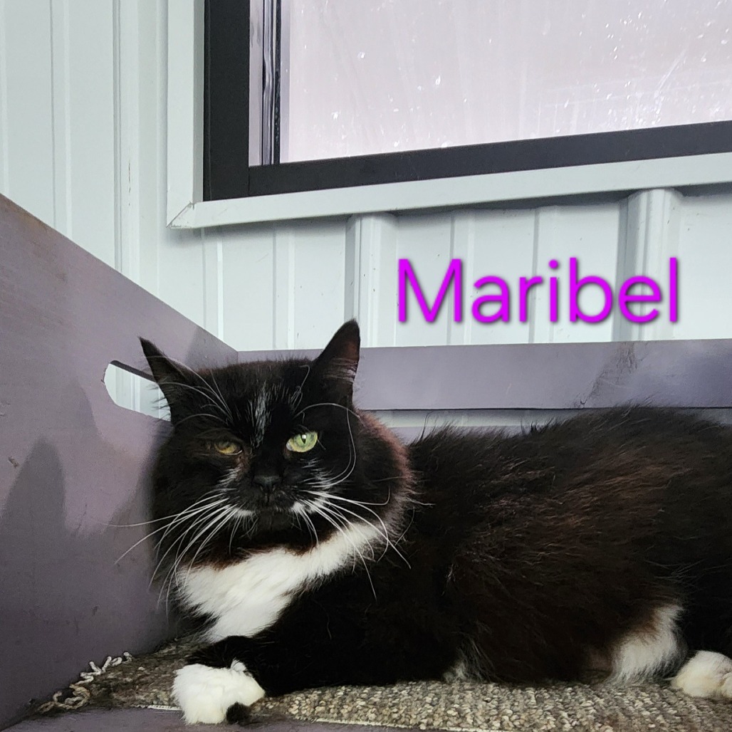Maribel