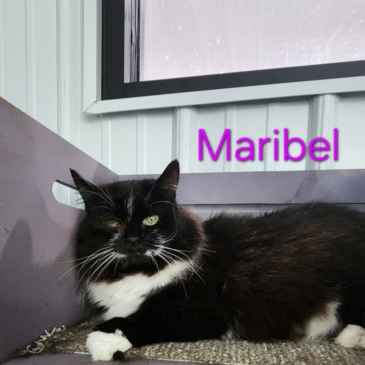 Maribel 2