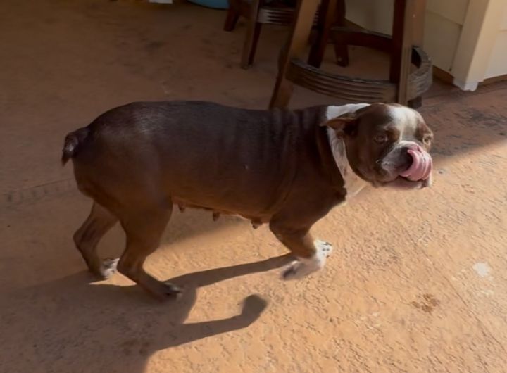 Bessie Lita - 4258 FL 1