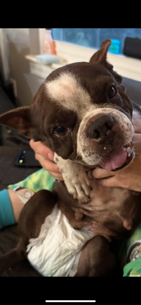 Bessie Lita - 4258 FL 3