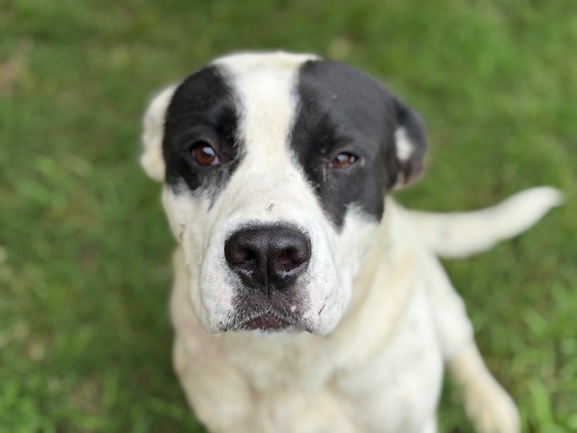 RUFUS