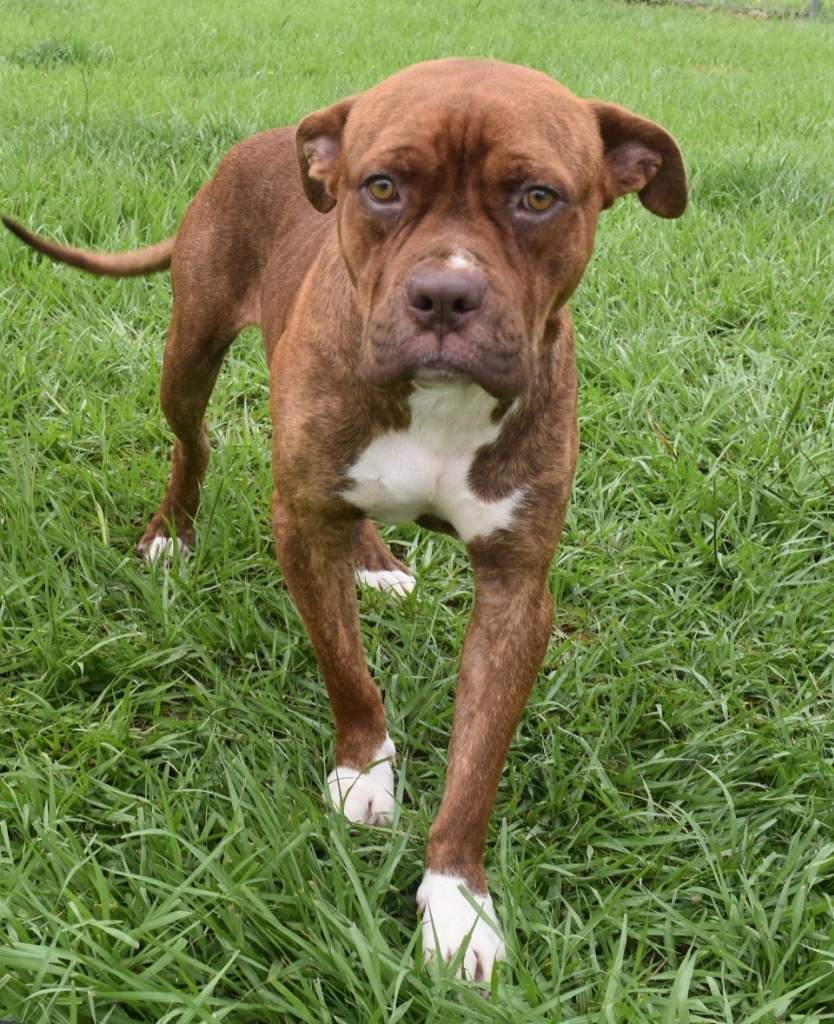 Leroy