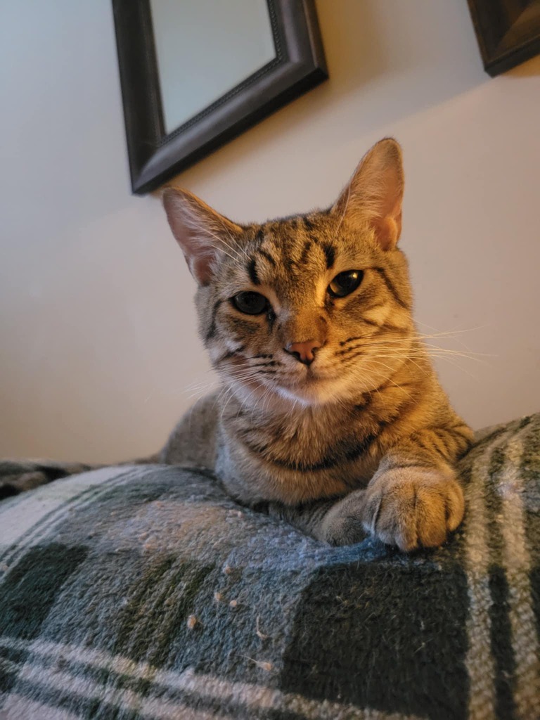 Burt