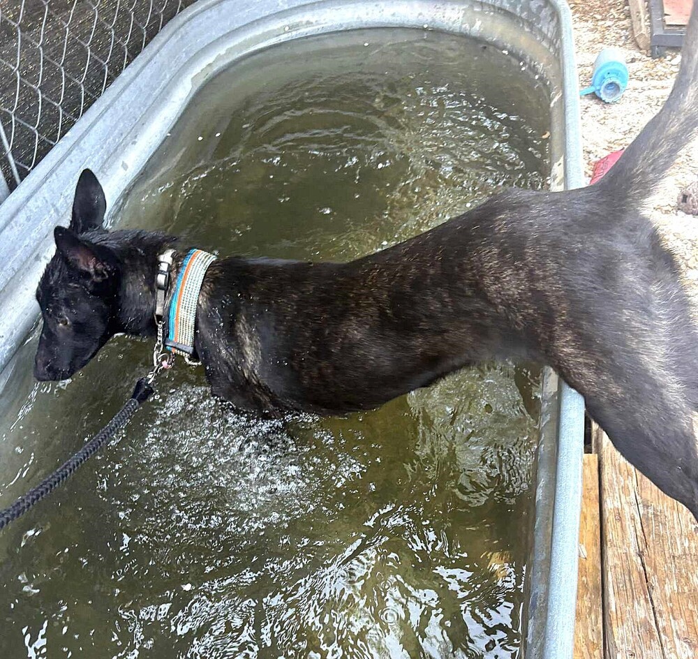 Jigi - Located in TX