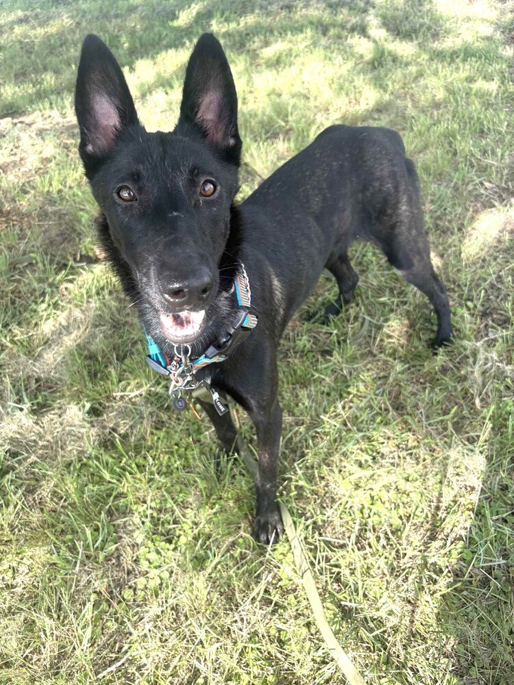 Jigi - Located in TX