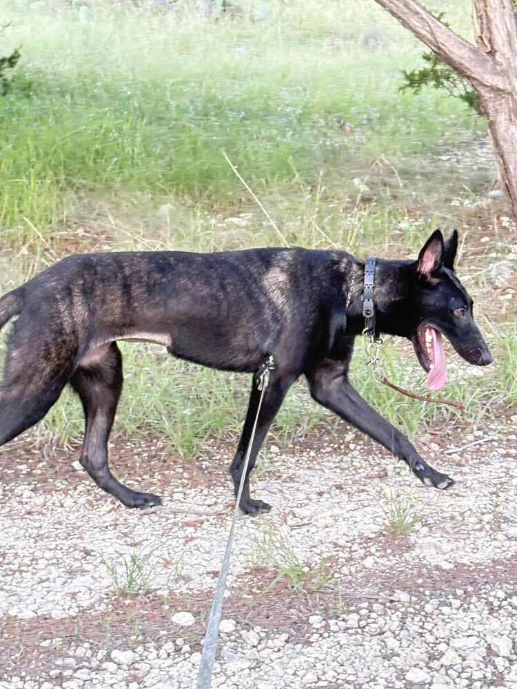 Jigi - Located in TX