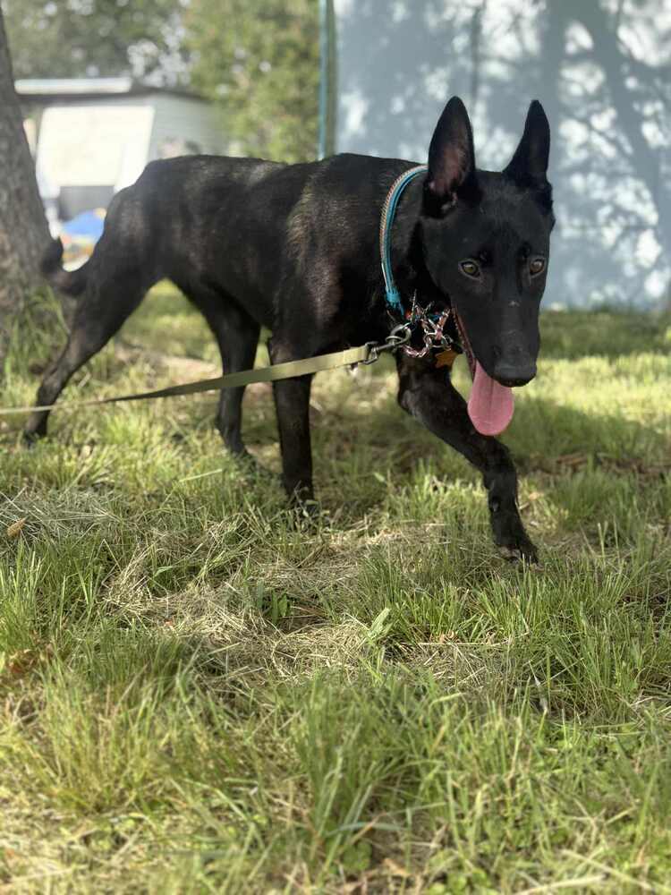Jigi - Located in TX