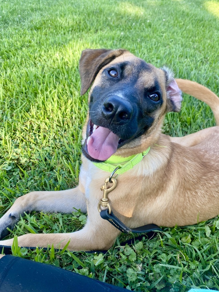Lila the Lovely