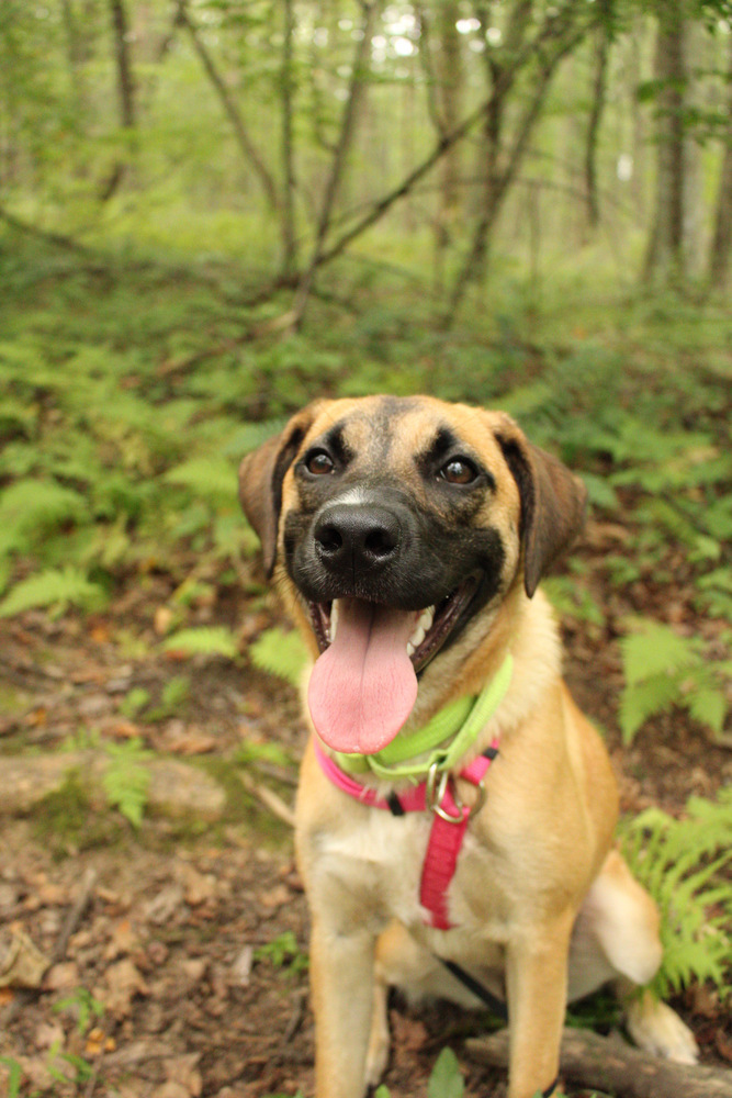 Lila the Lovely