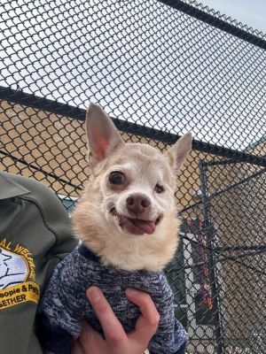 Alice, Senior Female unknown