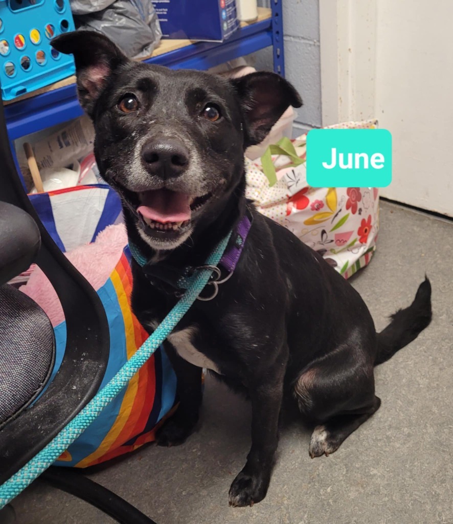 June