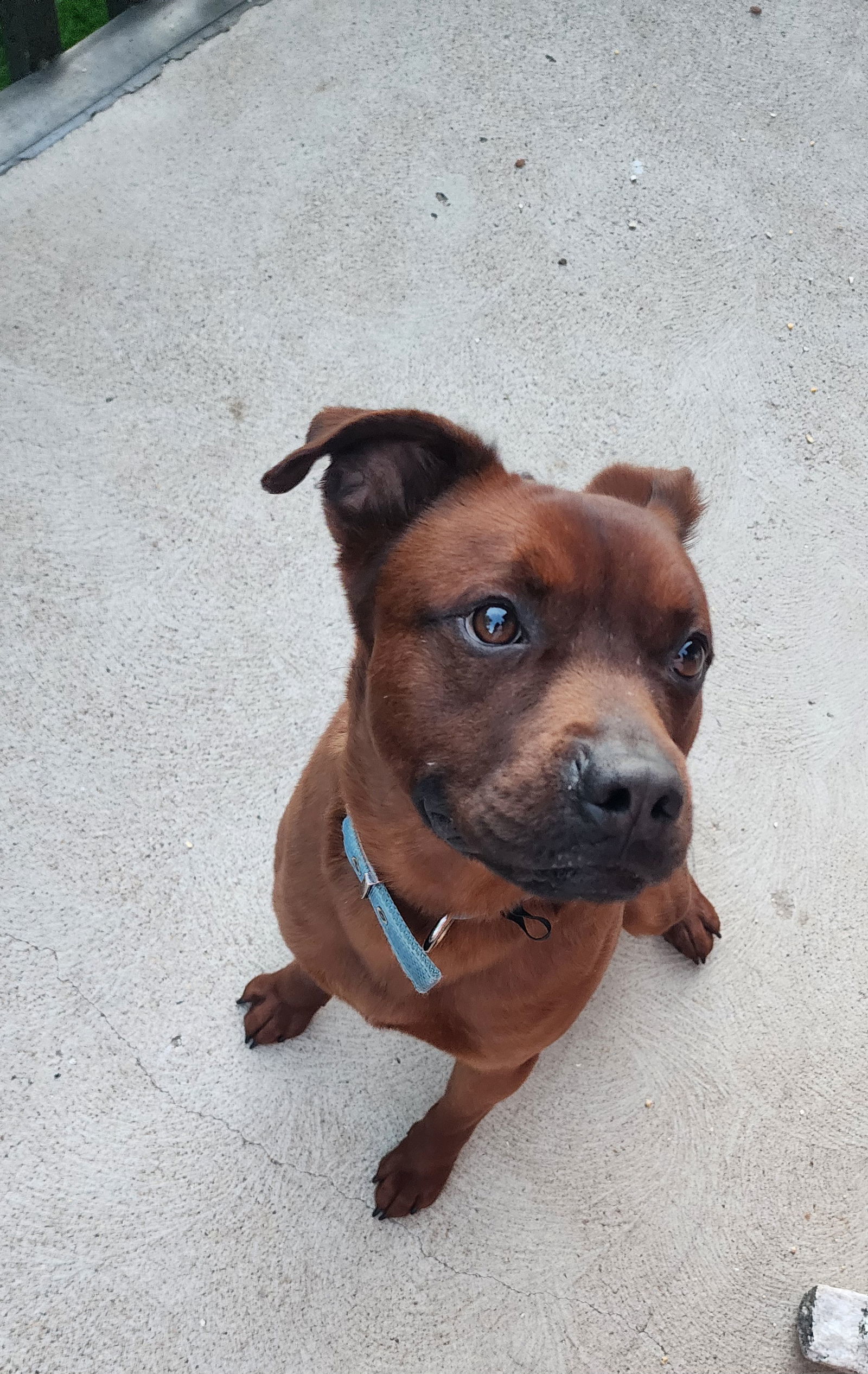 Roscoe (Courtesy)