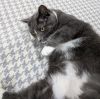 Kiki photo 3