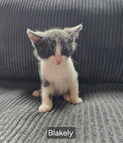 Blakely