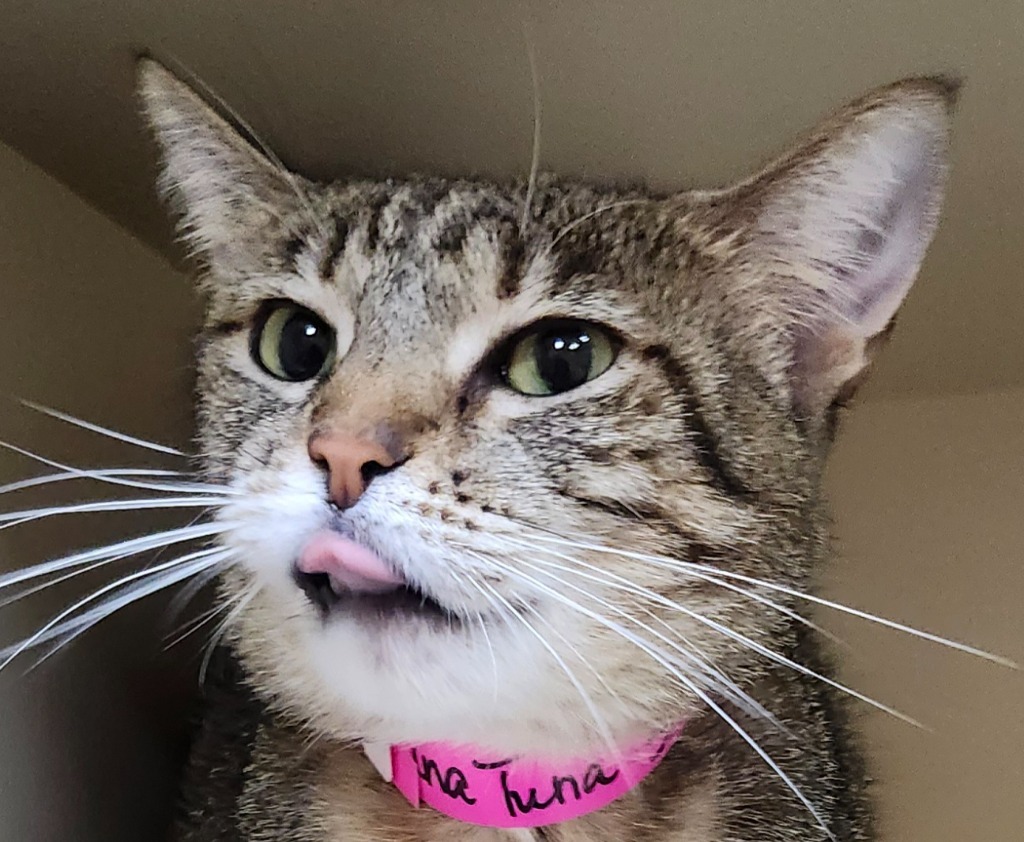 Luna Tuna