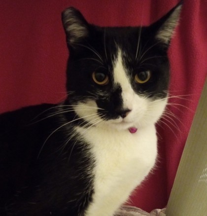 Sid