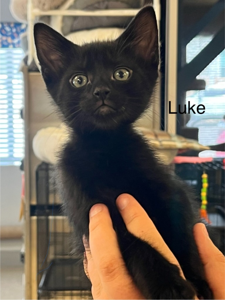 Luke