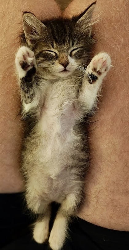 Newman