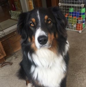 Tucker