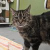 Prince -- Bonded Buddy With Mittens photo 3