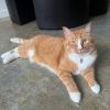 Nimbus photo 1