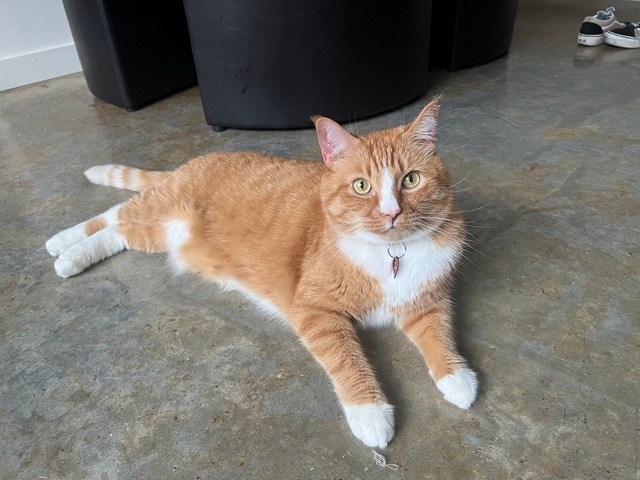Nimbus