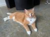 Nimbus photo 2