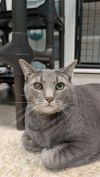 Smokey photo 1