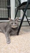 Smokey photo 2