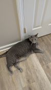 Smokey photo 3