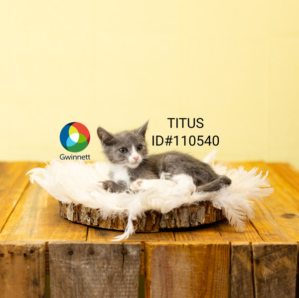 Nf-23 Titus