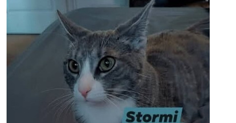 Stormi