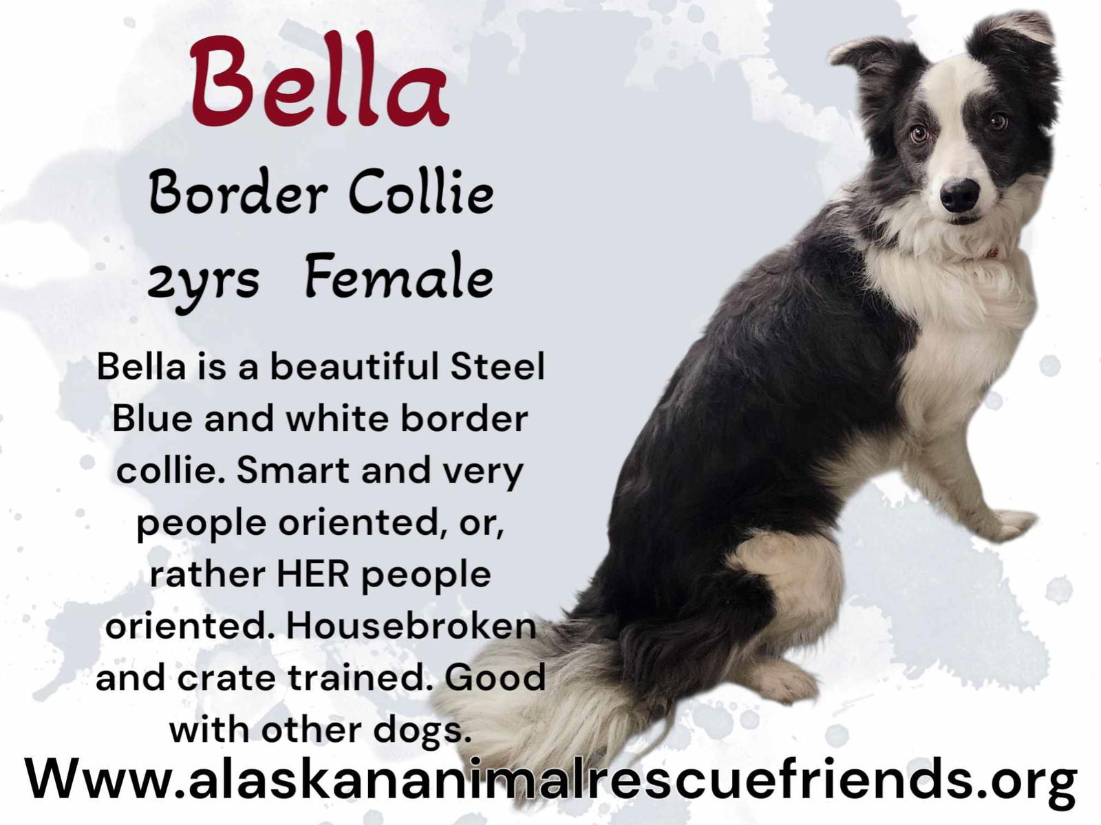Bella