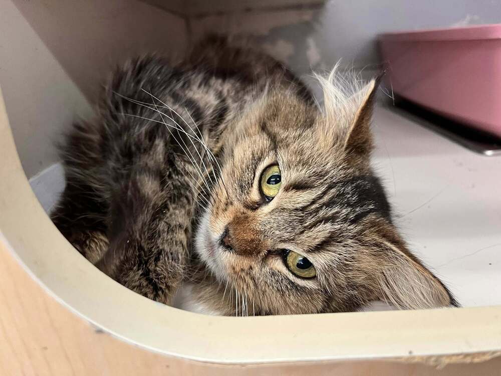 Precious
