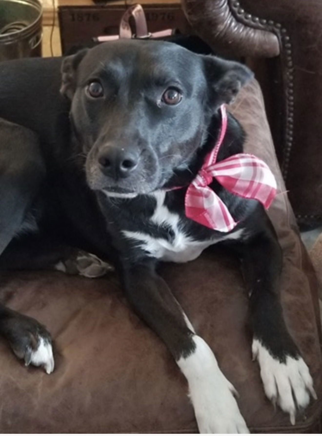 Mazie